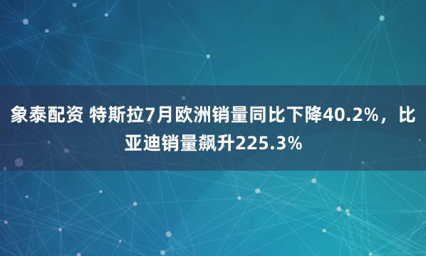 象泰配资 特斯拉7月欧洲销量同比下降40.2%，比亚迪销量飙升225.3%