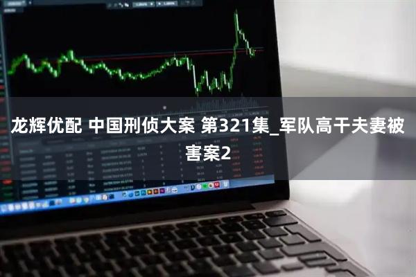 龙辉优配 中国刑侦大案 第321集_军队高干夫妻被害案2