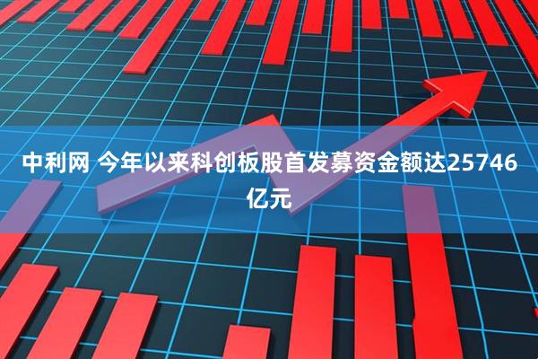 中利网 今年以来科创板股首发募资金额达25746亿元